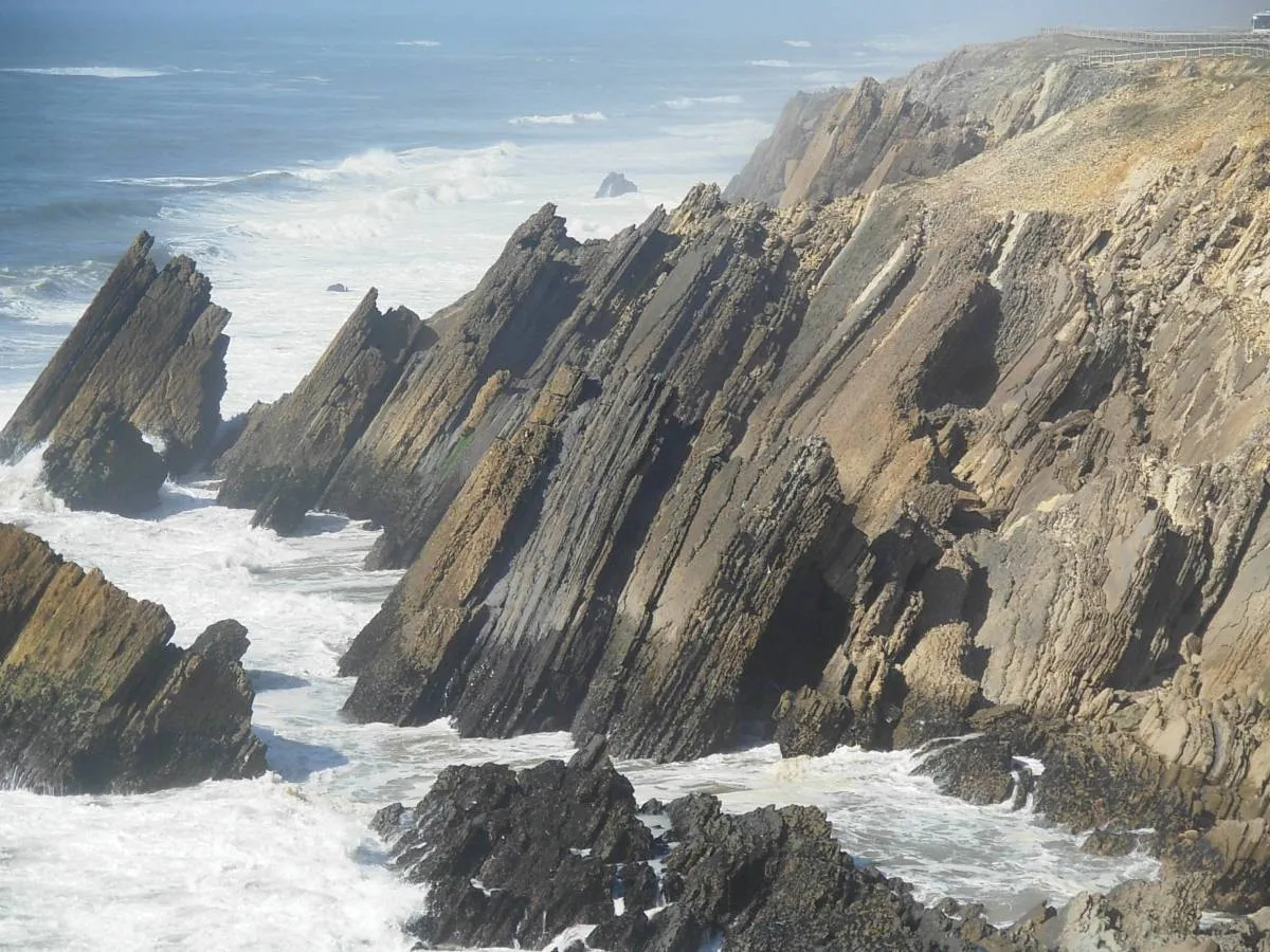 Field Trip Image 1