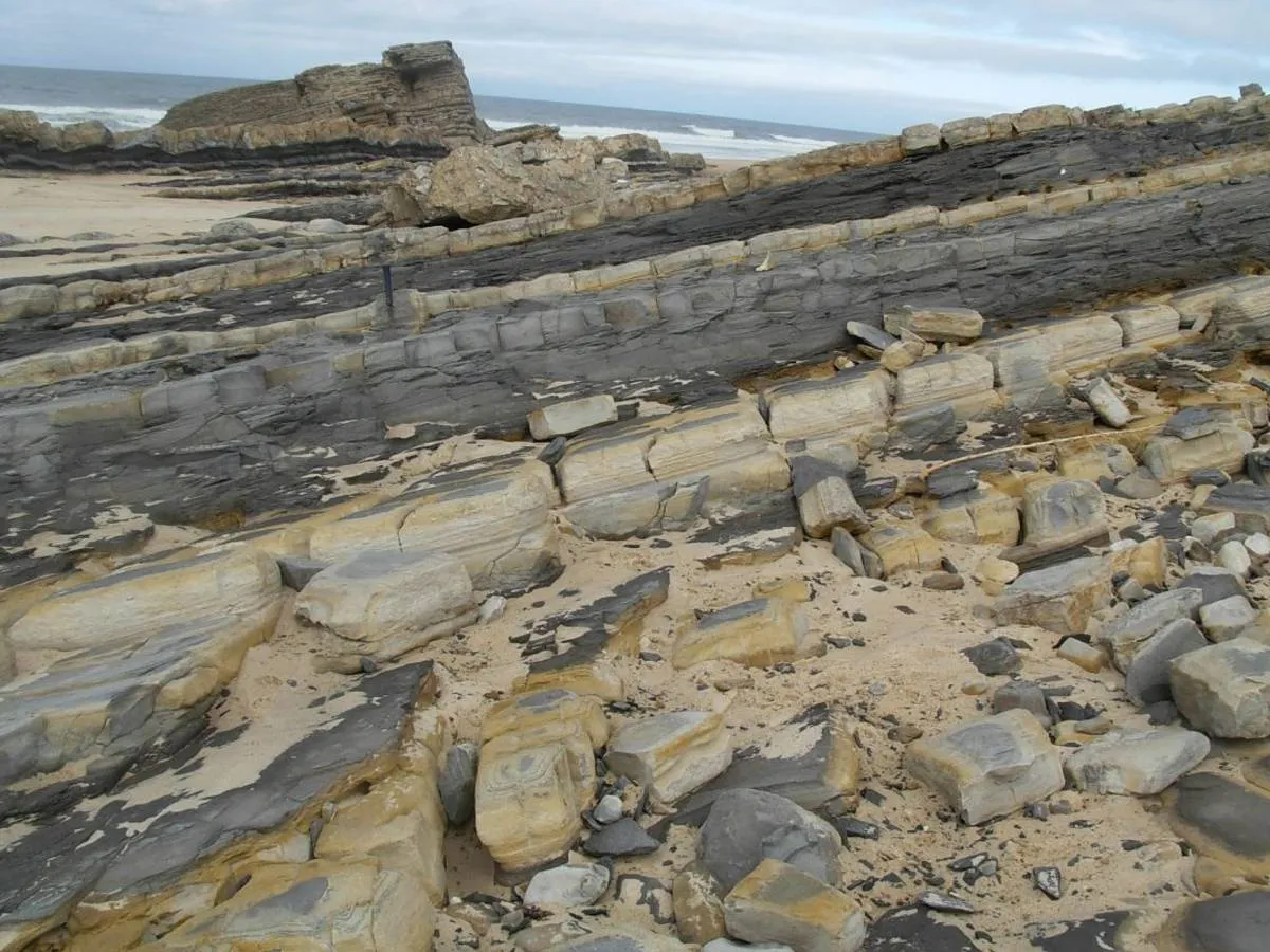 Field Trip Image 3