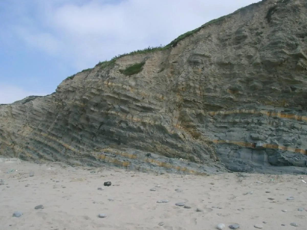 Field Trip Image 5