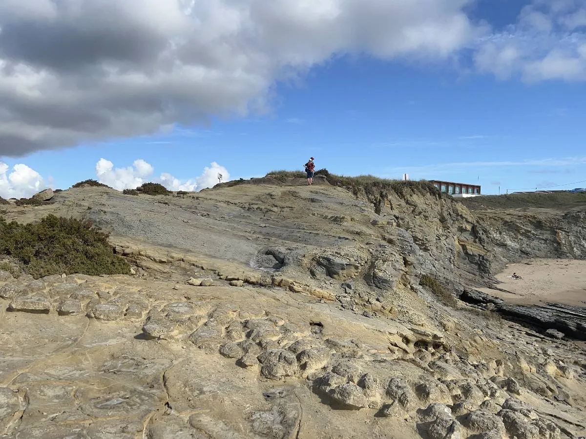 Field Trip Image 6