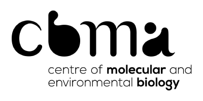 CBMA