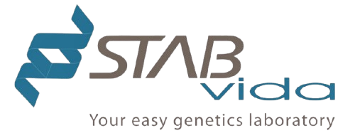 stabVida-removebg-preview